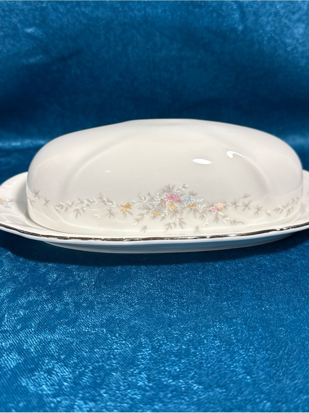 Covered Lidded Butter Dish Johann Haviland Floral Splendor Bavarian Germany 2 Pc
